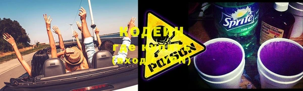 шишки Беломорск