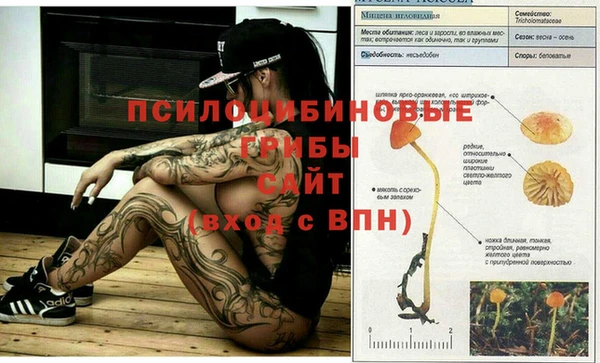 jwh Белокуриха