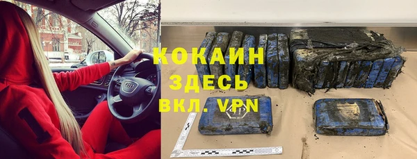 шишки Беломорск